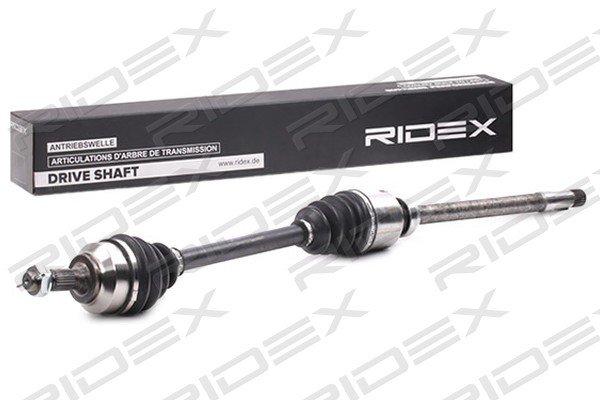 RIDEX 13D0559