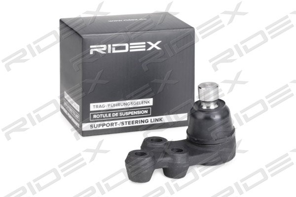 RIDEX 2462S0382