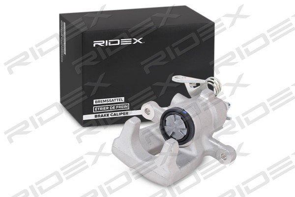 RIDEX 78B1050