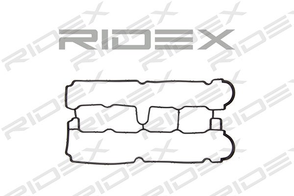 RIDEX 321G0009