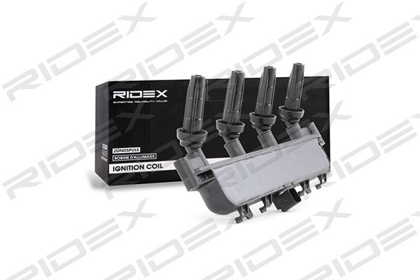 RIDEX 689C0091