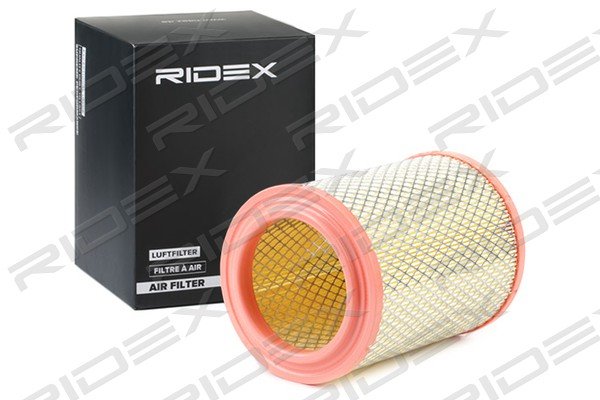 RIDEX 8A0312