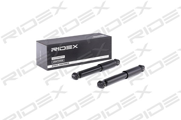RIDEX 854S2243