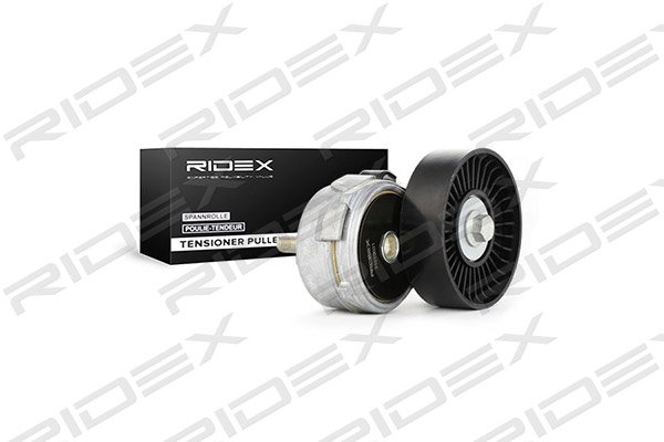 RIDEX 310T0021