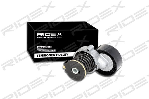 RIDEX 541V0033