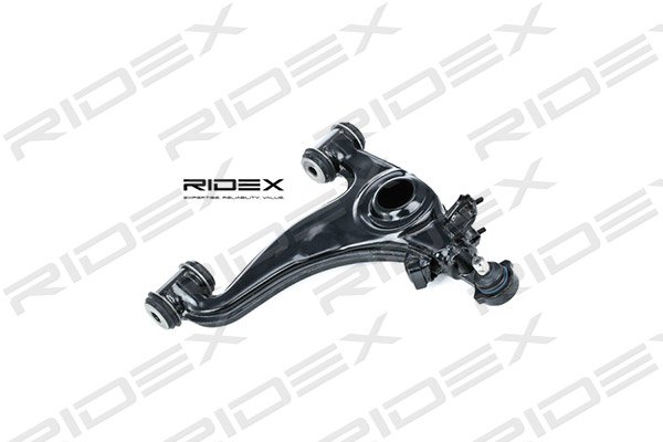 RIDEX 273C0495