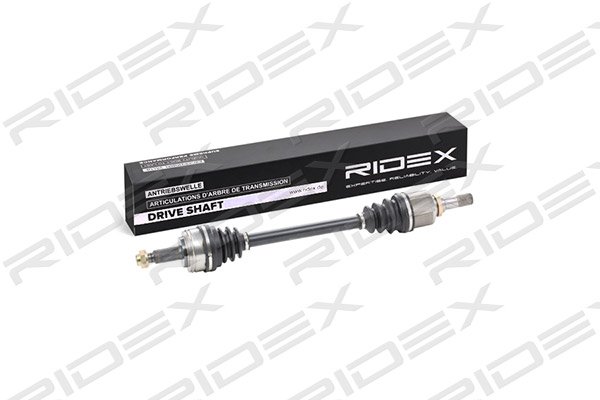 RIDEX 13D0221