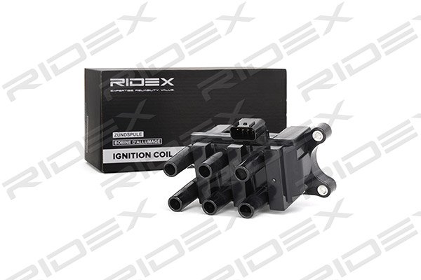 RIDEX 689C0079