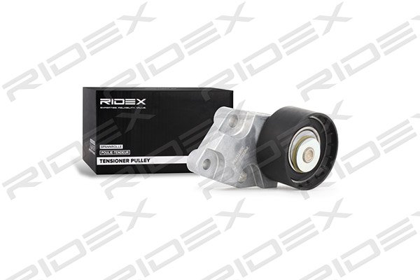 RIDEX 308T0144