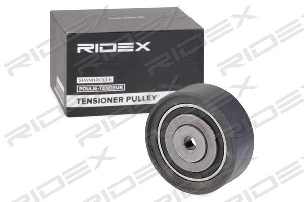 RIDEX 313D0066
