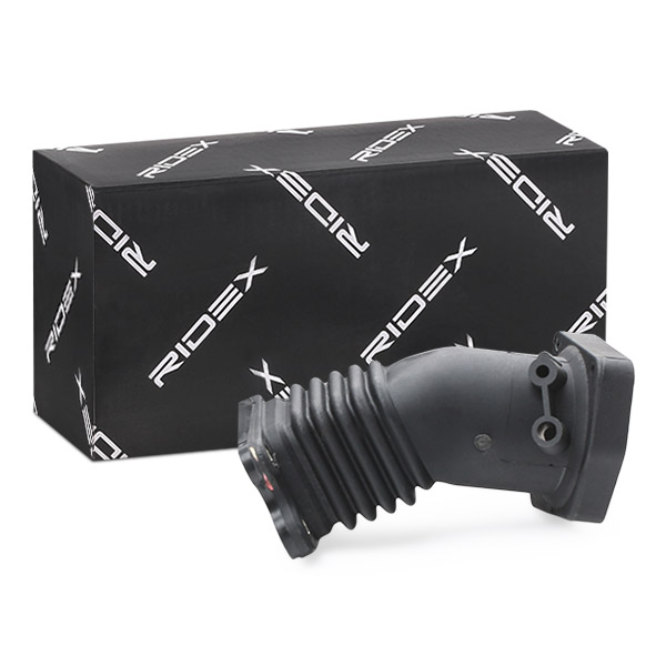 RIDEX 1591I0018