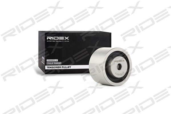 RIDEX 313D0011