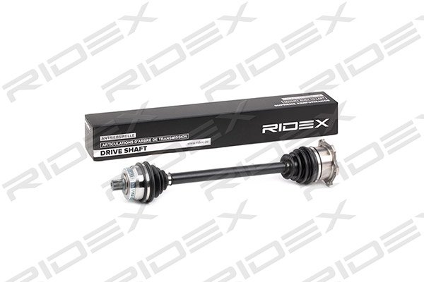 RIDEX 13D0137
