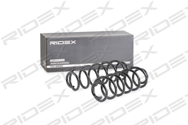RIDEX 189S0003