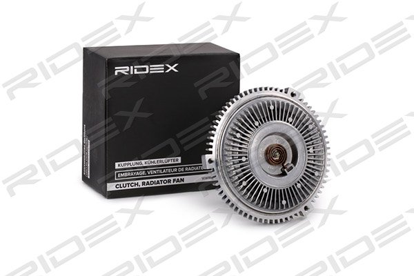 RIDEX 509C0031