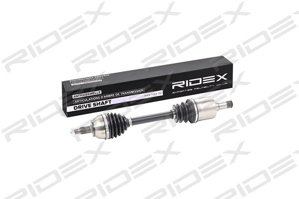 RIDEX 13D0125