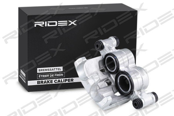 RIDEX 78B1095