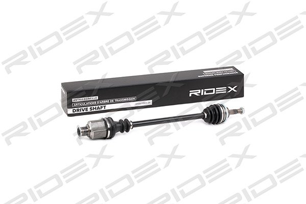 RIDEX 13D0039