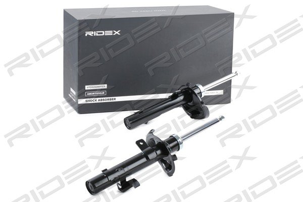 RIDEX 854S0844
