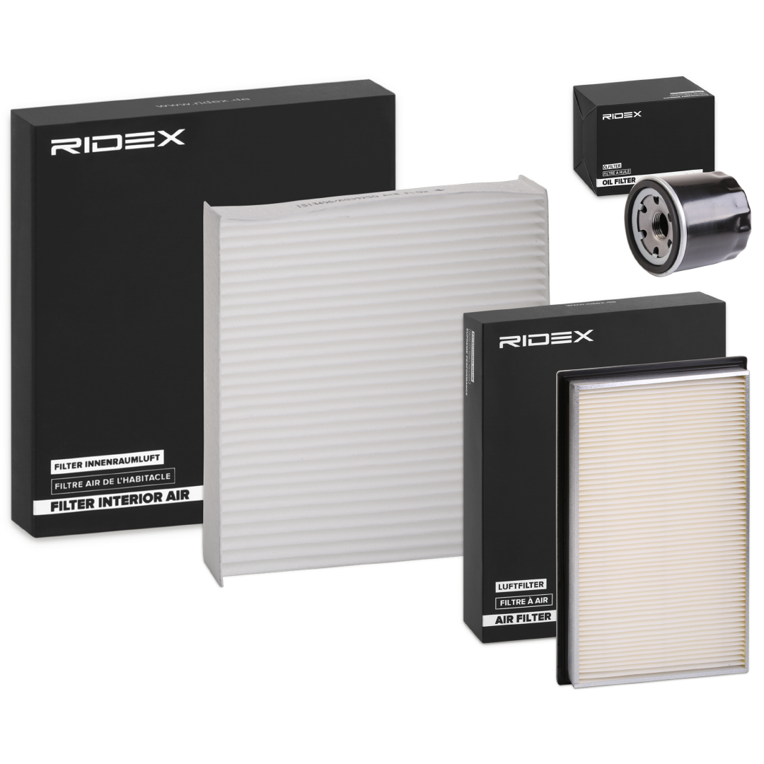 RIDEX 4055F19901