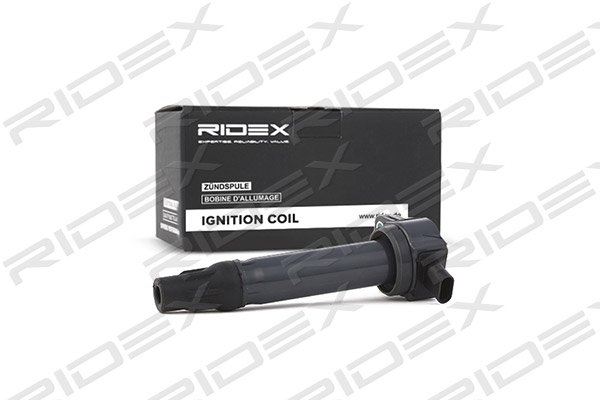 RIDEX 689C0169