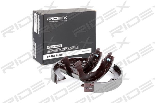 RIDEX 70B0102