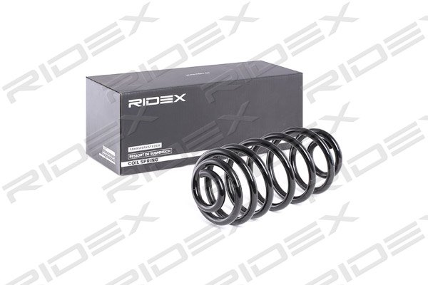 RIDEX 188C0234