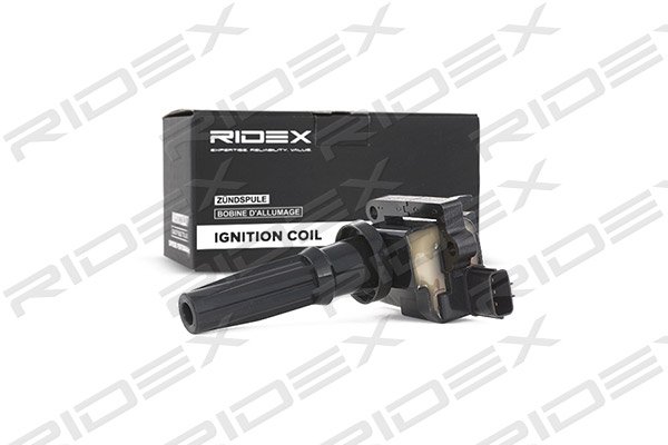 RIDEX 689C0058
