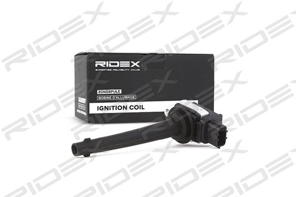 RIDEX 689C0106
