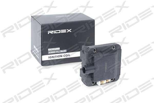 RIDEX 689C0254