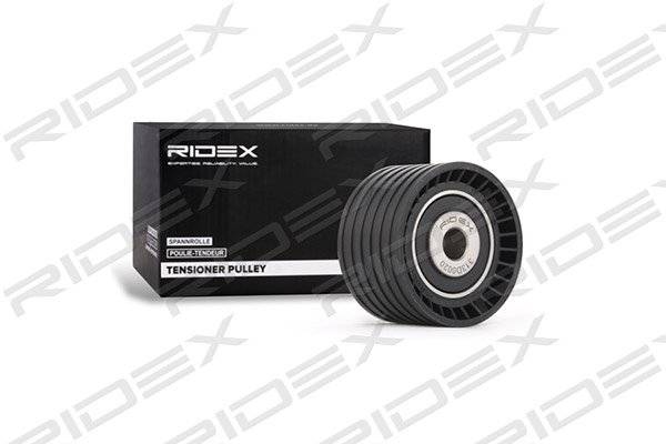 RIDEX 313D0020