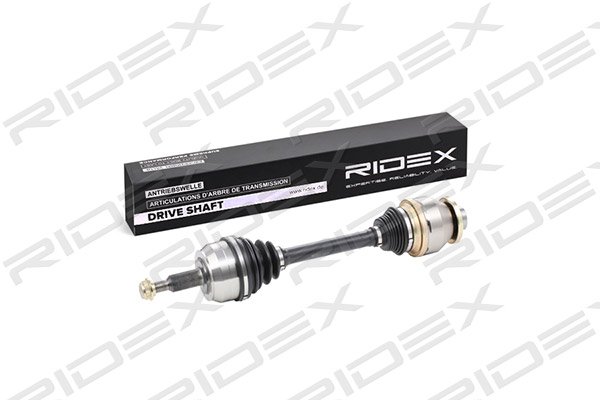 RIDEX 13D0128