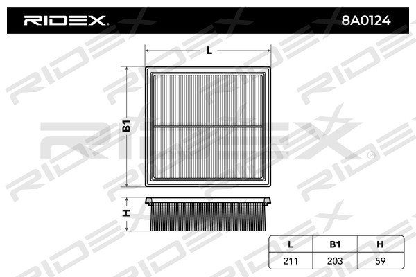 RIDEX 8A0124