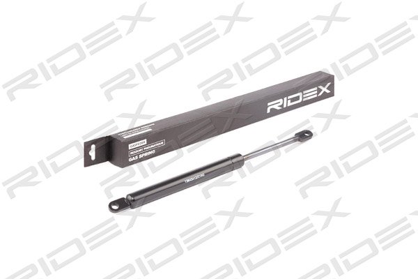 RIDEX 219G0700