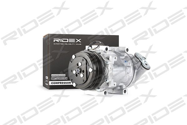 RIDEX 447K0042