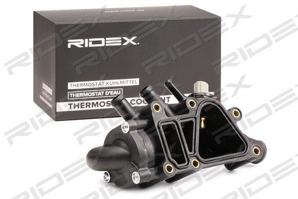 RIDEX 316T0262