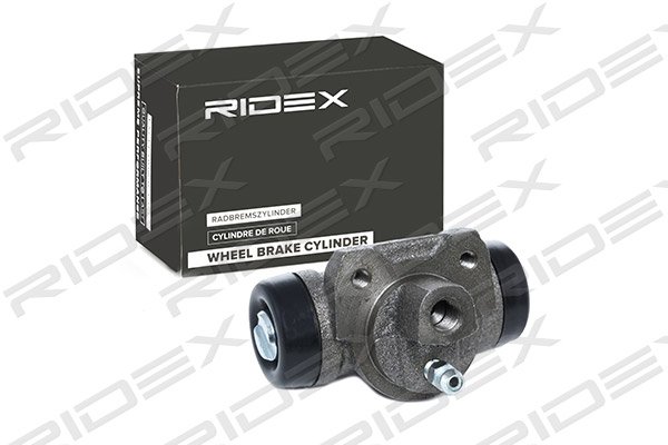 RIDEX 277W0038