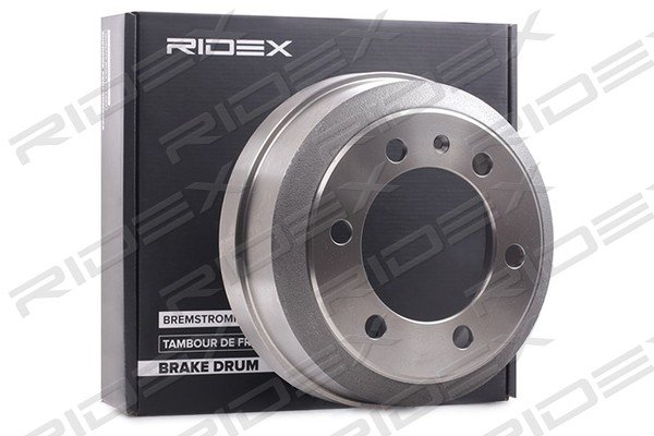 RIDEX 123B0235