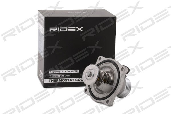 RIDEX 316T0171