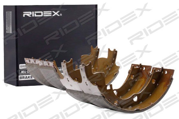 RIDEX 70B0250