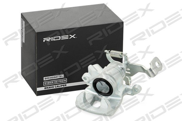 RIDEX 78B1015