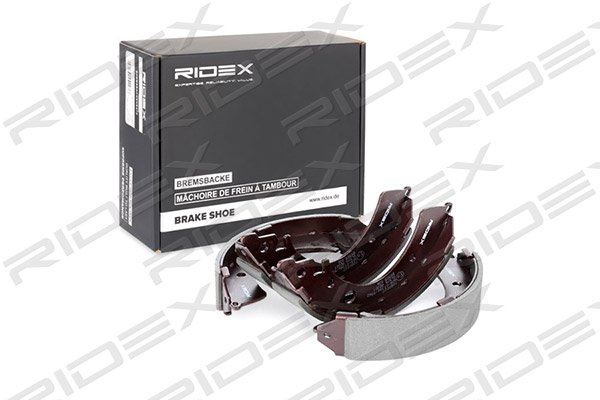 RIDEX 70B0027