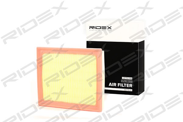 RIDEX 8A0269