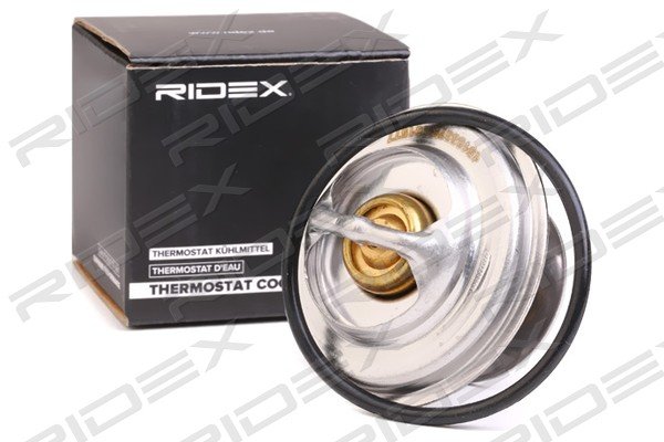 RIDEX 316T0086