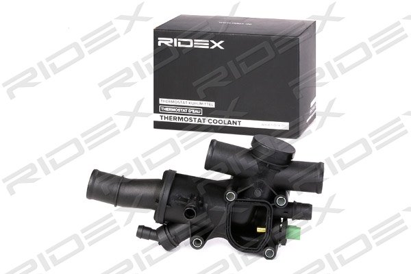 RIDEX 316T0109