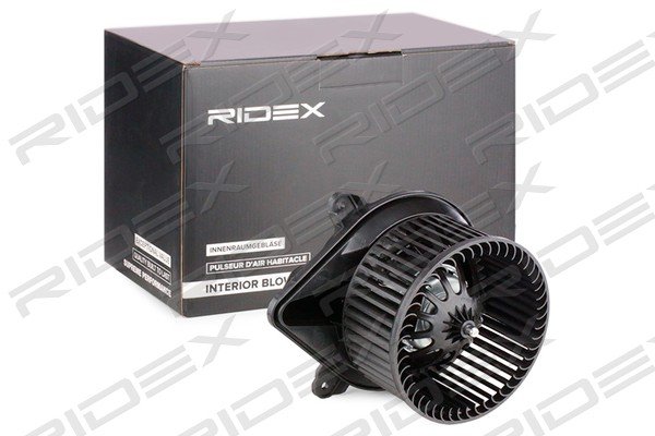 RIDEX 2669I0094