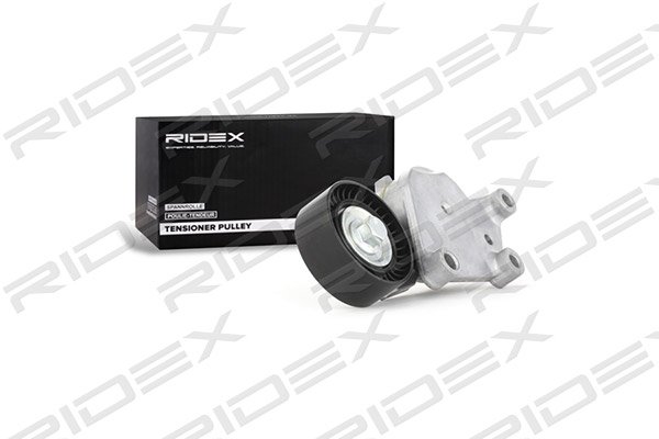 RIDEX 540T0013