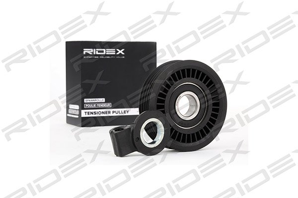 RIDEX 312D0025