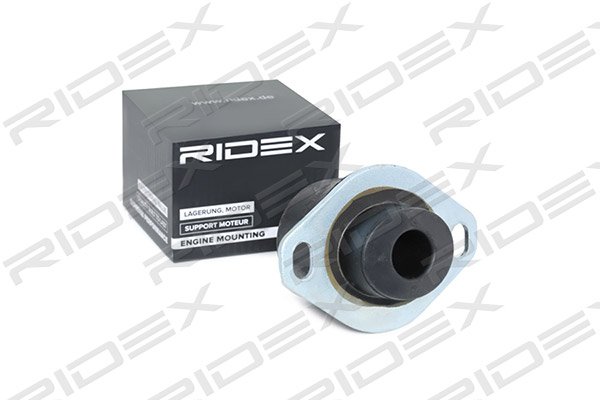 RIDEX 247E0066
