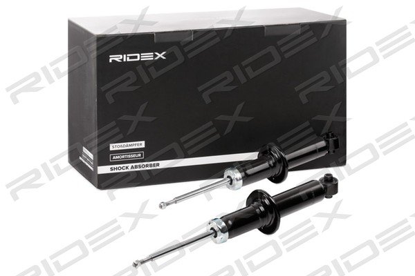 RIDEX 854S1641